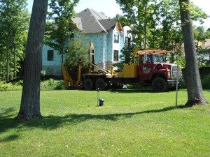 Tree Moving and Transplanting, Midland, ON