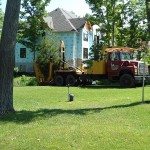 Tree Transplanting in Midland, ON