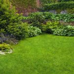 Island Landscaping