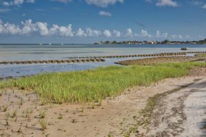 Benefits of Waterfront Restoration