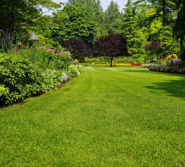 Husky Property Maintenance